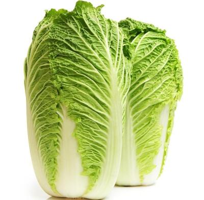 China 2022 fresh new season fresh vegetable export and international certification fresh vegetable cabbage for sale