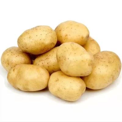 China China Sales Promotion Fresh Delicious Unpolluted Potatoes for sale