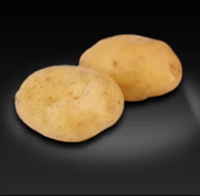 China Fresh Hot-selling Organic Commercial Potatoes For Sale for sale