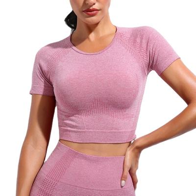 China 2021 New Summer Women Yoga T-shirt Crewneck Shorts Breathable Solid Sleeve Slimming Crop Top For Women Seamless Short Sleeve Yoga Wear for sale