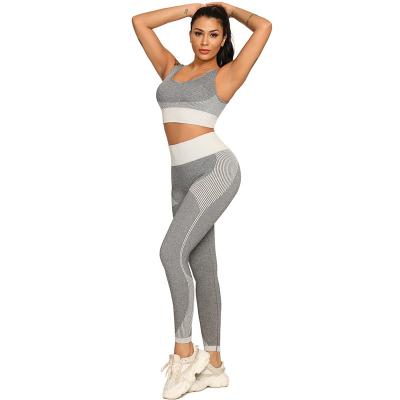 China Women's Fashion Breathable Sport Swear Yoga Wear Seamless Quick Dry Tight Suit Knit Exercise Fitness Suit for sale