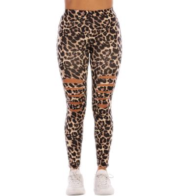 China Anti-wrinkle leopard print sports tights high waist yoga pants leggings for women for sale