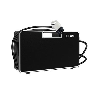 China Fast Ev Car Dc Charger KIWI 150V-750V Portable CCS Ev Charger for Tesla Model Y/S for sale