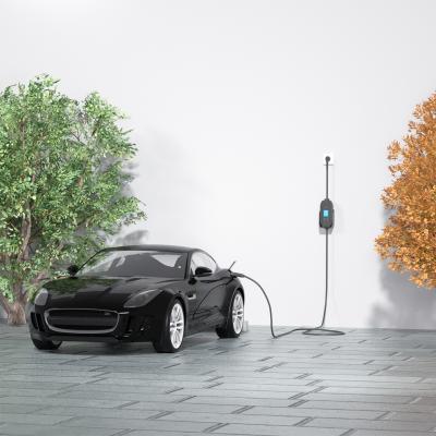 China Portable Car Charger Customizable AC 3.5kw 16A EV Charger for Electric Cars for sale