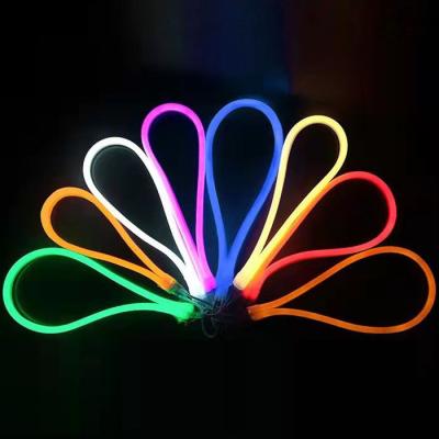 China LANDSCAPE 220V SMD5050 60leds 14x26mm Colorful Cable Neon Rope For Outdoor Decoration for sale