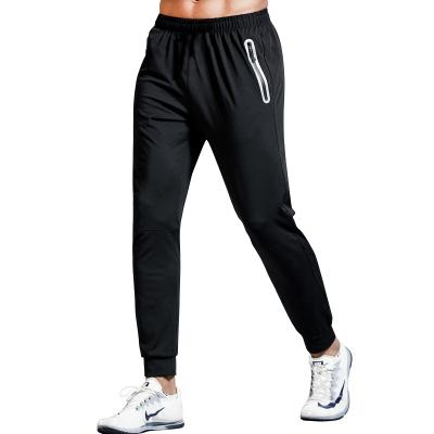 China Breathable Pants Men Gym Workout Casual Sports Training Fitness Sweat Wear Quick Dry Pants for sale