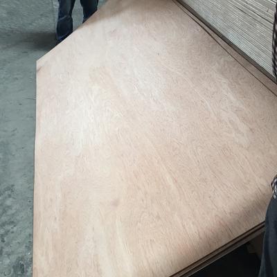 China bintangor plywood /fancy plywood/commercial plywod for sale