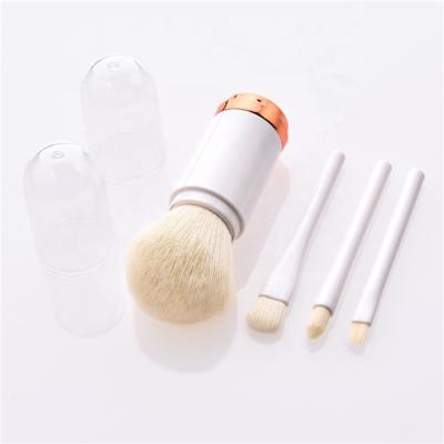 China New 2019 Mini Makeup Brush Set For Travel Double Sided Fan Brush Style Retractable 4 In 1 Side for sale