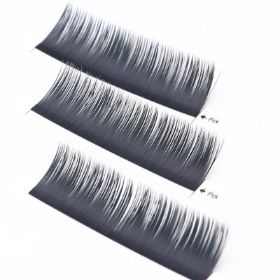 China Easy Carrying Factory Supplies Women's Eye Lashes Makeup 10mm Faux Mink False Eyelash for sale