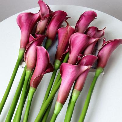 Κίνα 10pcs Europe Real Calla Lily Bridal Wedding Bouquet Lataex Touch Artificial Flower Party Home Decor προς πώληση