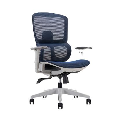 China (Size) Customized Executive Computer Adjustable Mesh Office Chairs Office Furniture Lumbar Support Ergonomic Office Chair Swivel for sale