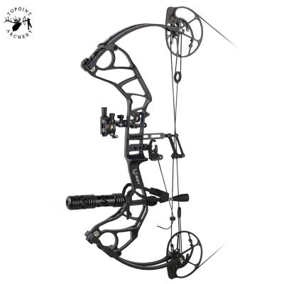 China Hunting Topoint Archery DAIBOW Compound Bow Sharpness, Hunting Ccompound CNC Milling Riser, USA Gordon Composites Limb, BCY String for sale