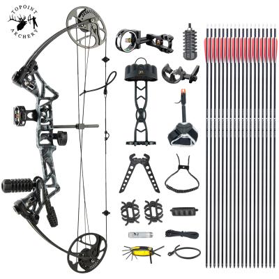 China Hunting Topoint Archery Compound Bow Package, Hunting Compound Bow, CNC Milling Riser, USA Gordon Composites Limb, BCY String for sale