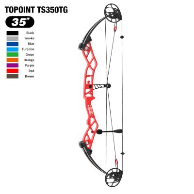 China Topoint Archery Target Compound Bow TS350TG Shooting Bow Right and Left Handed for sale