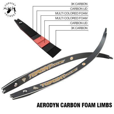 China Topoint Recurve Archery Carbon SHOOTING foam increases Aerodyn, 22-48lbs, 2# bow limbs, 66