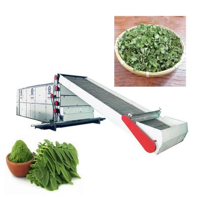 China High efficiency air circulation moriga leaf dehydrator garlic chives drying drier machine for sale