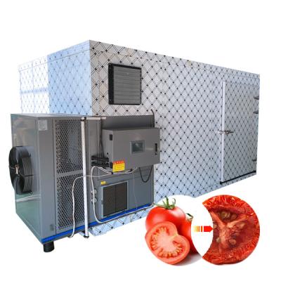 China Medicine Processing Widely Used Tomato Apricot Meat Slice Drying Machine for sale