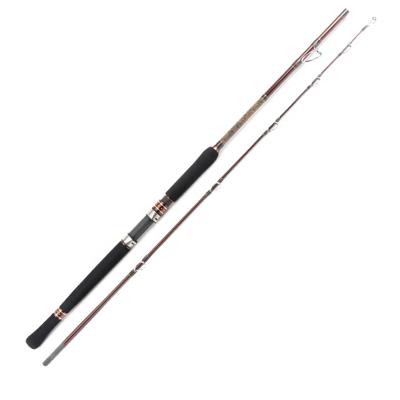 China Super Hard 100% CARBON Fishing Rod Two Piece Fishing Rod Three Pieces Cross Section Fishing Rod for sale