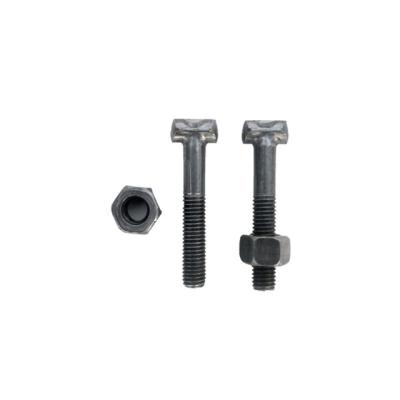 China High Strength Steel T Shaped T Bolt Bolt Bolt Building Accessories for sale