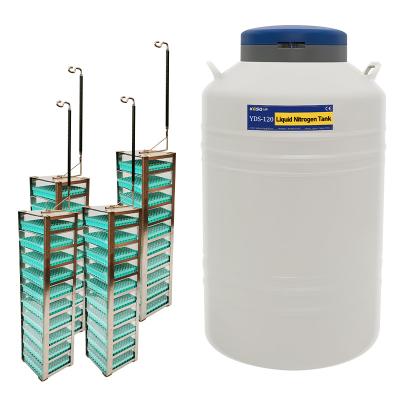 China 120L frozen sperm container nitrogen liquid tank for sale