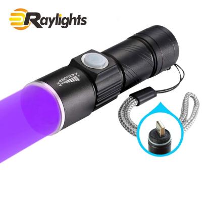 China 395nm Ultraviolet USB Camping Flashlight Rechargeable LED Built-in Battery UV Illumination Flashlight for sale