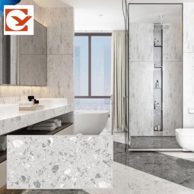 China Glazed Homogeneous Tiles 800x1600 Color Metallic Fire Retardant Gray Matte Terrazzo Floor Tiles for sale