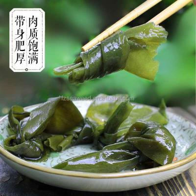 China Fresh Seaweed Laminaria / JELLY Hot Selling Frozen Green Kelp Knot for sale