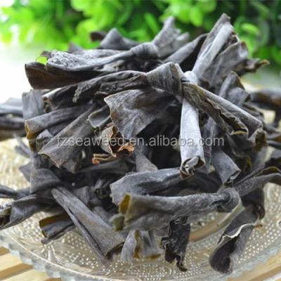 China FROZEN salted kelp seaweed, sea kelp knot, laminaria seaweed for sale