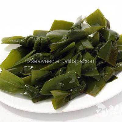 China FROZEN 2018 Salted Seaweed/Salt Kelp Laminaria Knots for sale