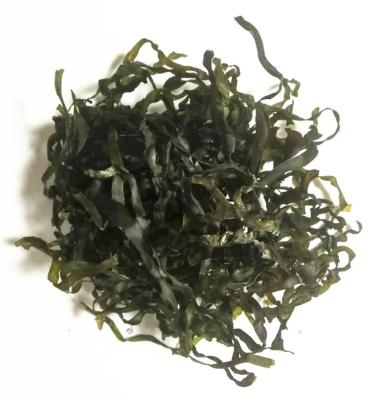 China Dried Machine Dried Kelp Cut Shredded Laminaria , Dried Seaweed Maker for sale