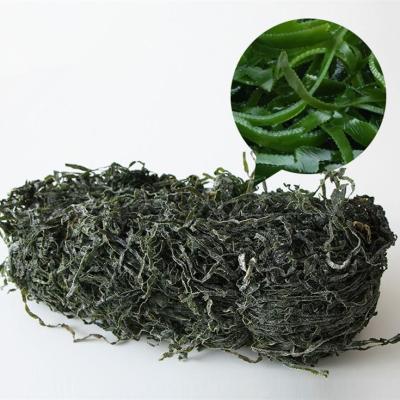 China Factory supply best dry price dried seaweed slices, dried sea kelp cut, shredded laminaria seaweed for sale