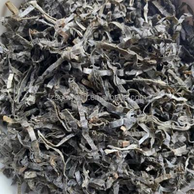 China 2022 Dried No Sand Sublimated Seaweed Thermal Machine Dried Kelp / Laminaria / Kombu Cutting for sale