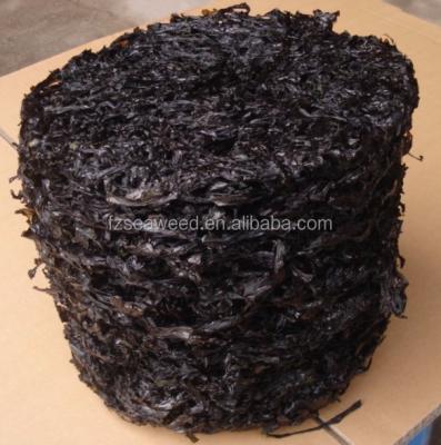 China Dried raw seaweed disc kelp/sea kelp/dried kelp for sale