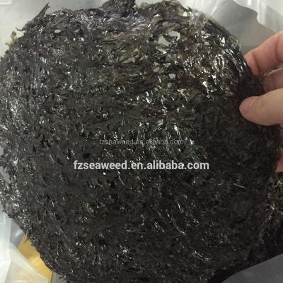 China Price Kelp or Nori Dry Hot Seaweed, Seafood Porphyra Algae for sale