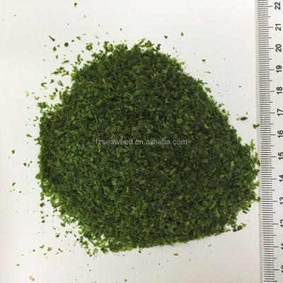 China Dry food ingredient aosa natural seaweed dried Ulva Lactuca for sale