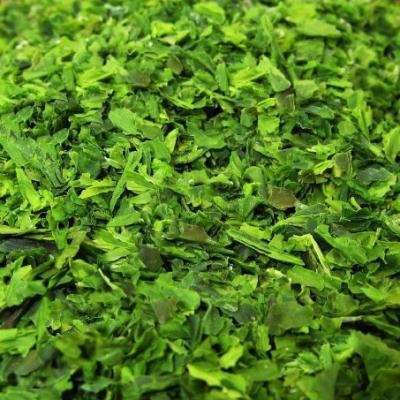 China Factory Wholesale Supplier Ulva Lactuca Green Lead Dried Seaweed for sale