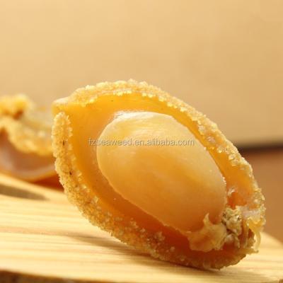 China FROZEN Hot Selling Price Dried Seafood Abalone / Boiled Natural Abalone Shellfish for sale