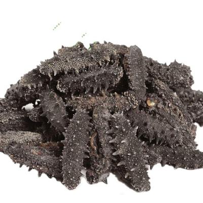 China Wholesale Low Fat Natural Sea Cucumber USA for sale