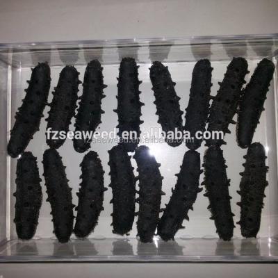 China Taiwan Strait High Quality Low Fat Dry Sea Cucumber for sale