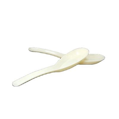 China food plastic food spoon for sale