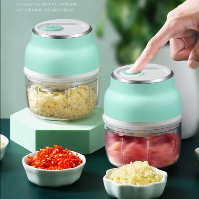 China Electric Mini Vegetable Chopper Usb Electric Garlic Chopper Electric Vegetable Cutter Garlic Cutter Kitchen Viable Instrument Radio for sale