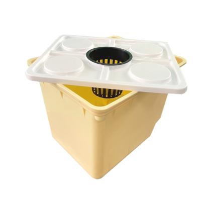 China Modern Dutch Bucket Hydroponics Systems For Tomato Agriculture Greenhouse for sale