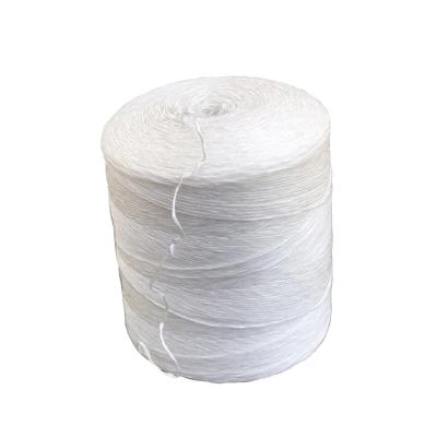 China PP Tomato Tying Twine Rope Polypropylene Twine Yarn Manufacturer for sale