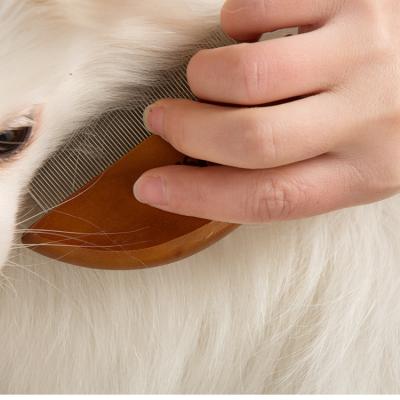 China Viable Wooden Pet Brush Comb Dryer Grooming Tool Kit Pet Tooth Hair Remover Fiber Brush For Pet for sale