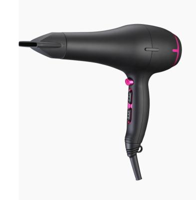 China Ionic Hair Care Styling Secillo Travel Hotel Salon Professional Application Baber AC Hair Dryer secador de cepillo for sale