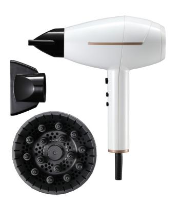 China Hot Selling AC Ion Negative Ion Hair 2400W Compact One Stage Dryer Baber Haier Smart Negative Dryer for sale