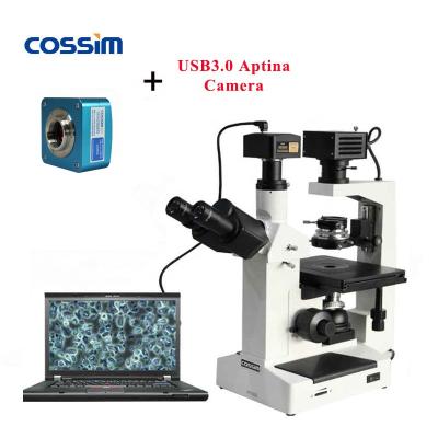 China Cheap Biological Trinocular Inverted Microscope with Digital Microscope Camera for Live Cell Culture BLD-200+U3CMOS for sale