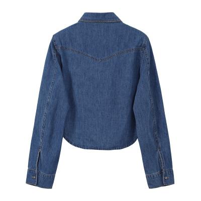 China Female spring design loose niche shirt small breathable denim short jacket and autumn long-sleeved shirt for sale