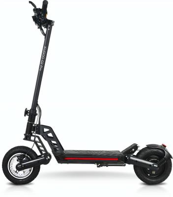 China Unisex Hot Selling 10 Inch Folding Electric Scooter Motor 800W 45km Dual Chain With Shock Absorption e Scooters for sale