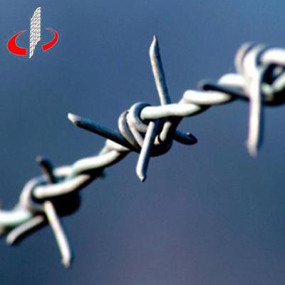 China Protection Of Cheap Electric Galvanized Grass Border Barbed Wire Price Per Kg for sale